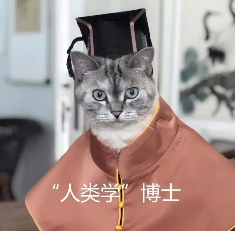 中央美院“學(xué)士服”美上熱搜！網(wǎng)友：這是什么神仙設(shè)計(jì)？