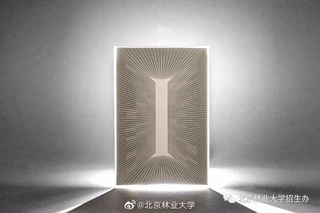 2020錄取通知書(shū)設(shè)計(jì)，最騷的大學(xué)竟然是...