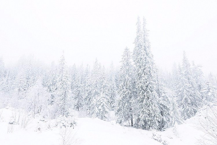 冬季雪景風光拍攝五個小技巧