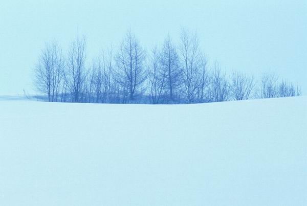 冰雪攝影技巧大盤點