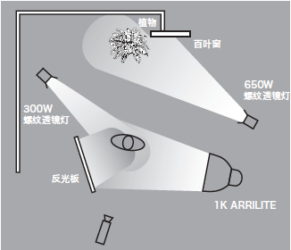 11種基礎(chǔ)打光方法，讓我們?cè)诖蚬獾牡缆飞献叩母鼒?jiān)實(shí)！