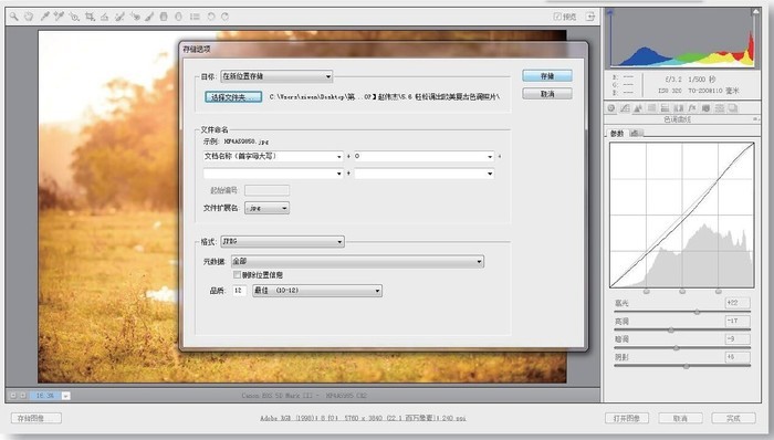 Photoshop+Lightroom輕松調(diào)出歐美復古色調(diào)照片