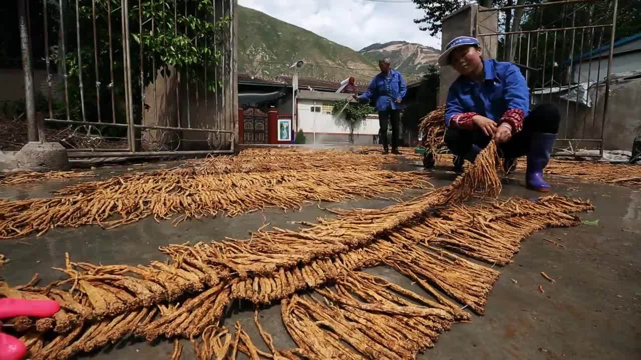 央視人文紀錄片《陰平古道》 集  尋訪